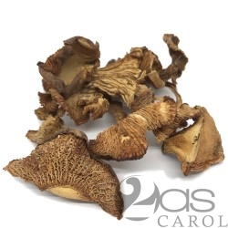 Girolles séchées