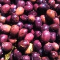Olives Coquillos