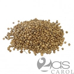 Coriandre en Grains